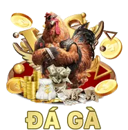 Hoàn trả cược do666